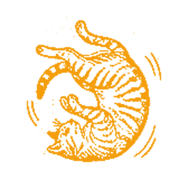 Katflip Salto Logo